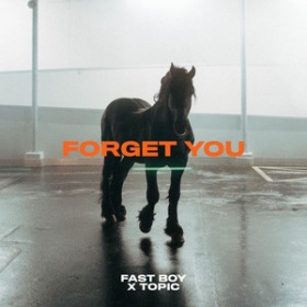 FAST BOY X TOPIC - FORGET YOU